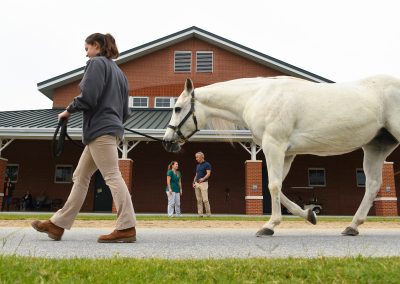 Student leading horse at College of Veterinary Medicine at Auburn University