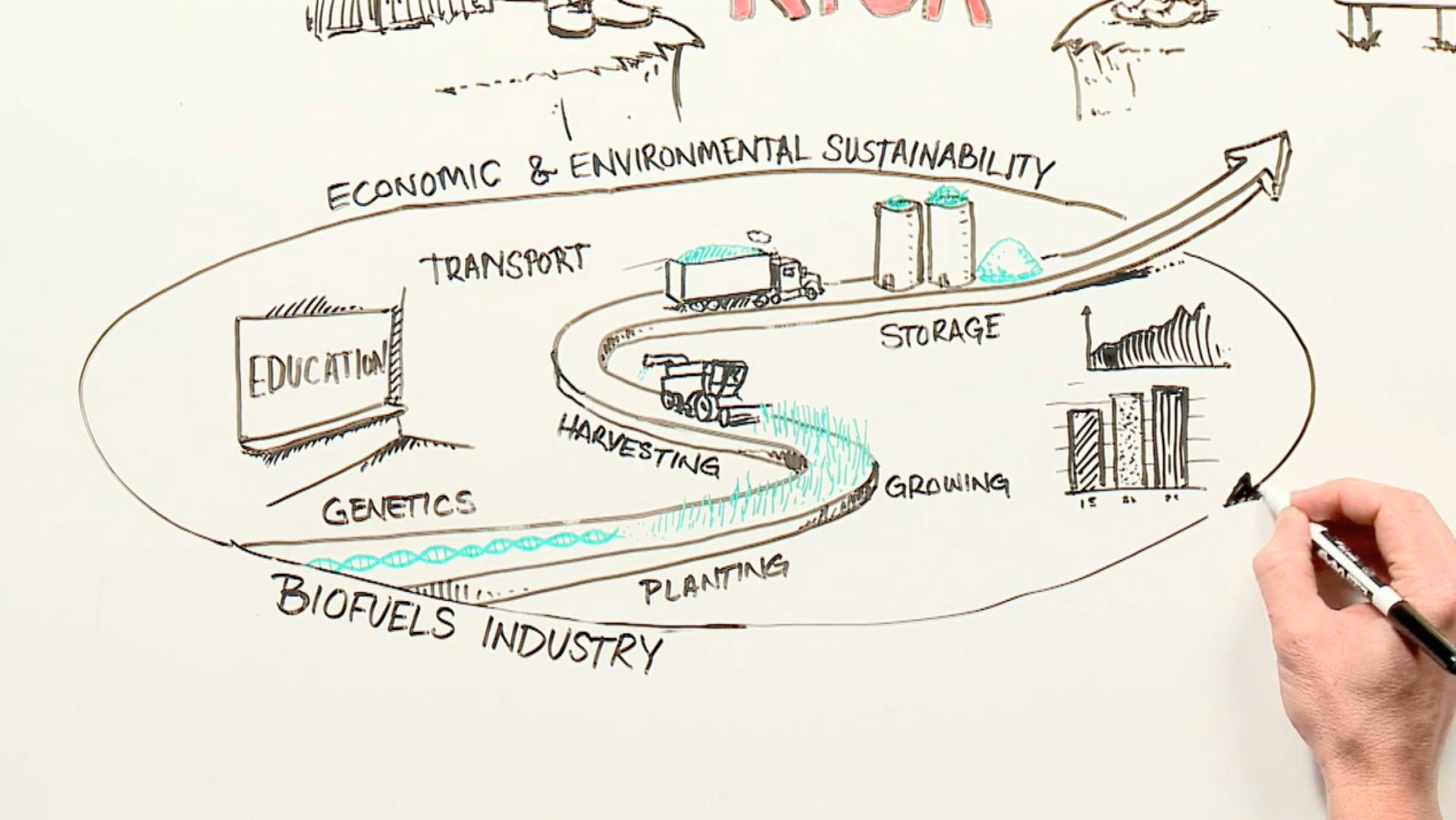 White board animation of supply chain
