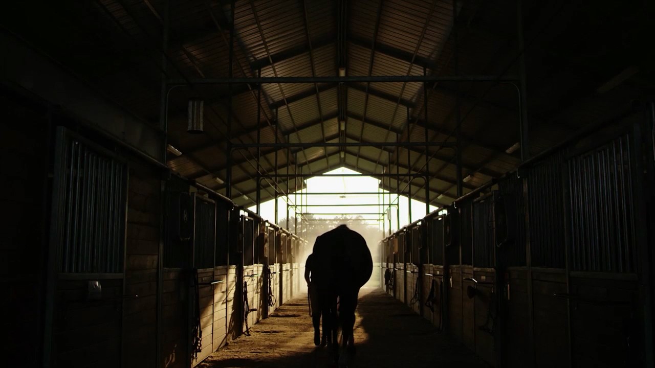 Silhouette of horse and trainer in barn