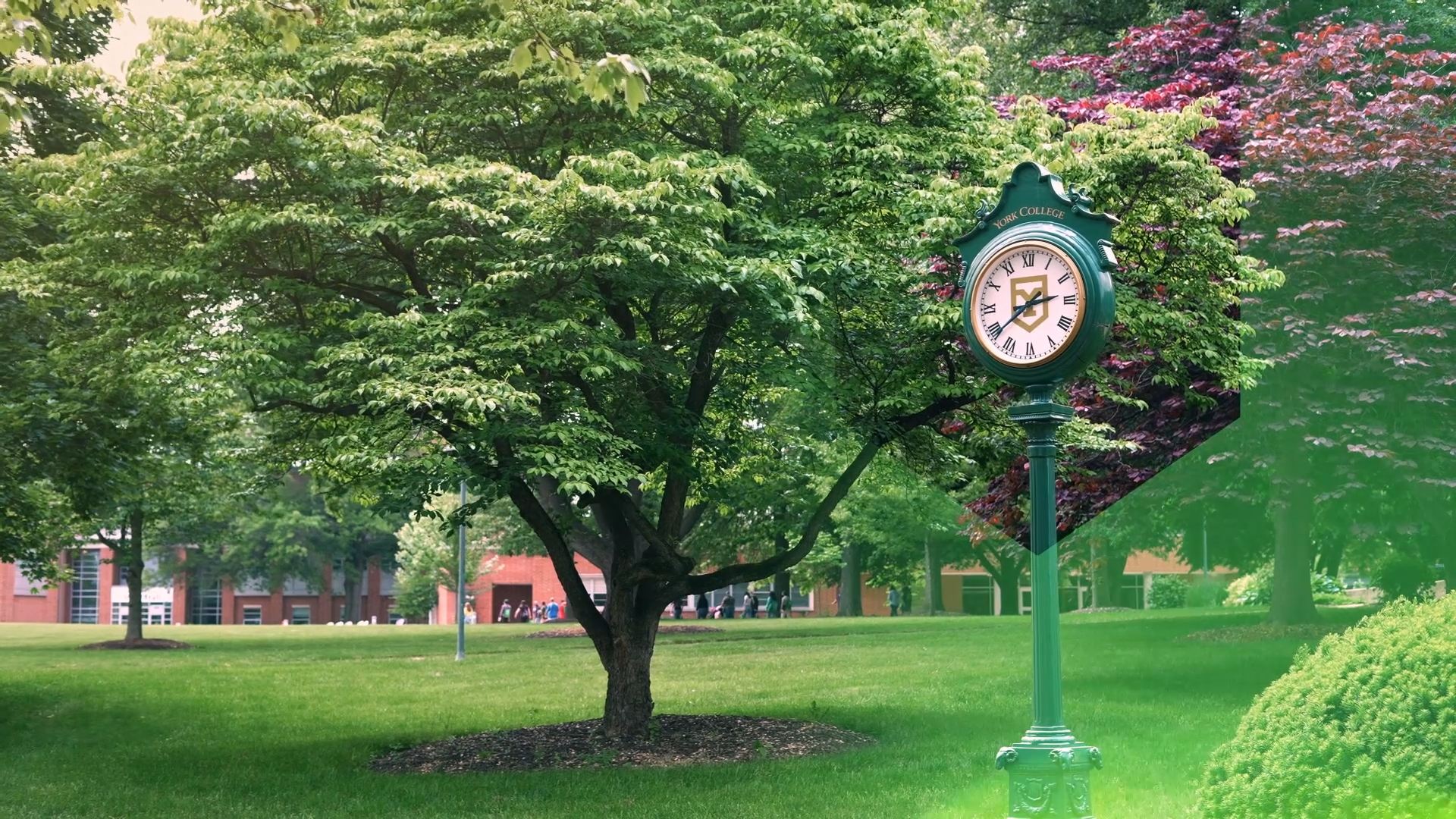 Footage of Clock at York College